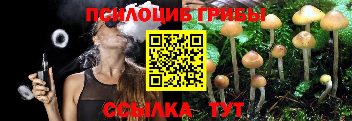 Галлюциногенные грибы GOLDEN TEACHER Борисоглебск