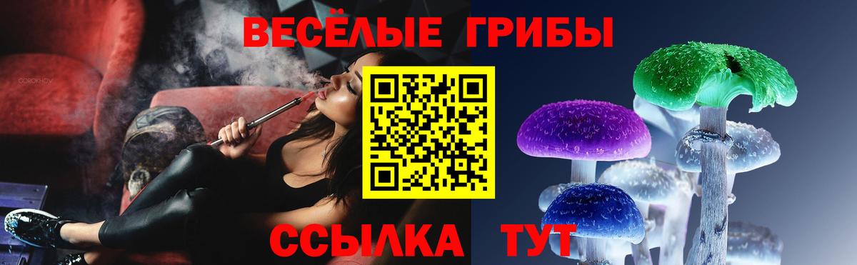 купить  сайты  Вход с VPN  Псилоцибиновые грибы Cubensis  Борисоглебск  Галлюциногенные грибы Cubensis 