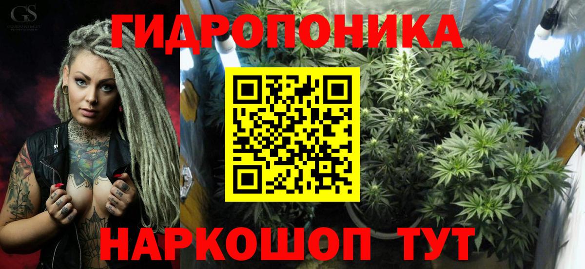 Бошки Шишки конопля  Марихуана конопля  Вход с VPN  МАРИХУАНА Amnesia  Борисоглебск 
